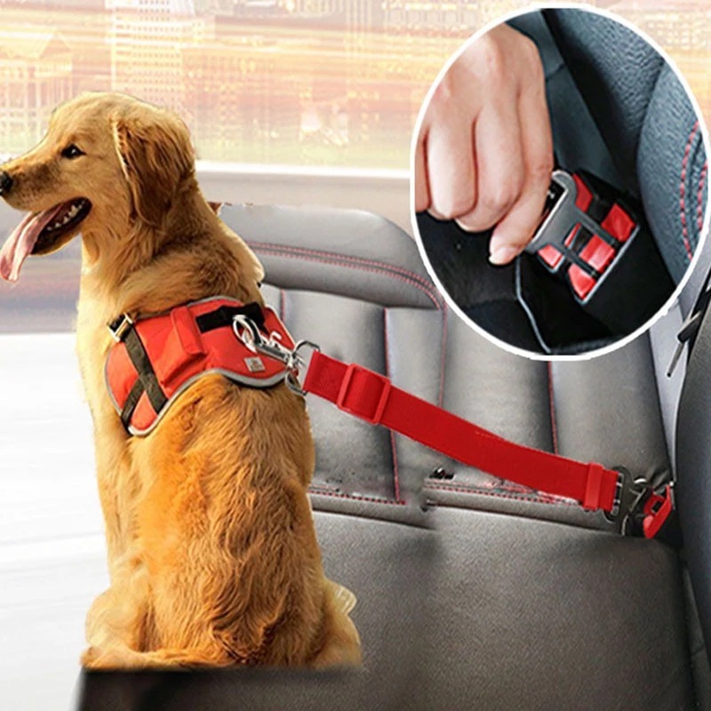 Adjustable Pet Seat Belt For Vehicles.