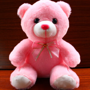 New Luminous Teddy Bear