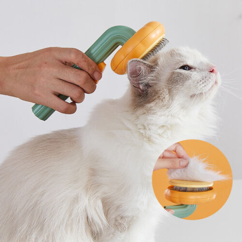 Pet Brush