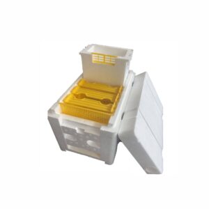 Bee Hive King Box Tool Set