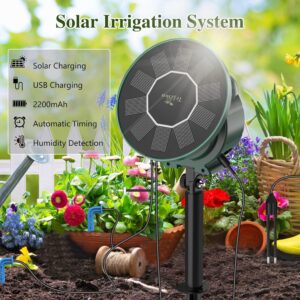 Solar-powered Irrigation Plant for Gardens.
