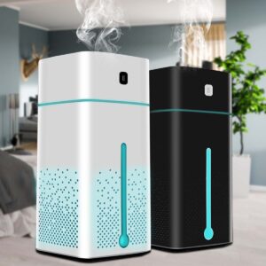Air Purifying Humidifier