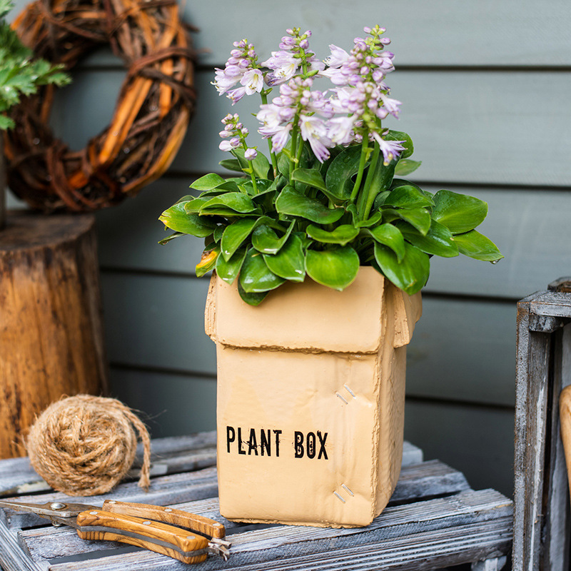 Cement Brown Paper Flowerpot - Image 5