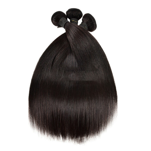 Natural Color Human Hair Curtain Wigs