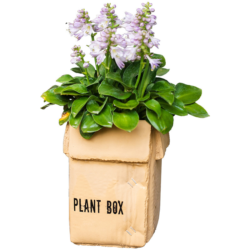 Cement Brown Paper Flowerpot - Image 6