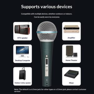 Professional Home Karaoke And Stage Microphone