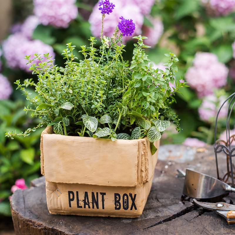 Cement Brown Paper Flowerpot - Image 8