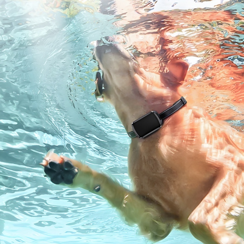 Waterproof Pet GPS Tracker